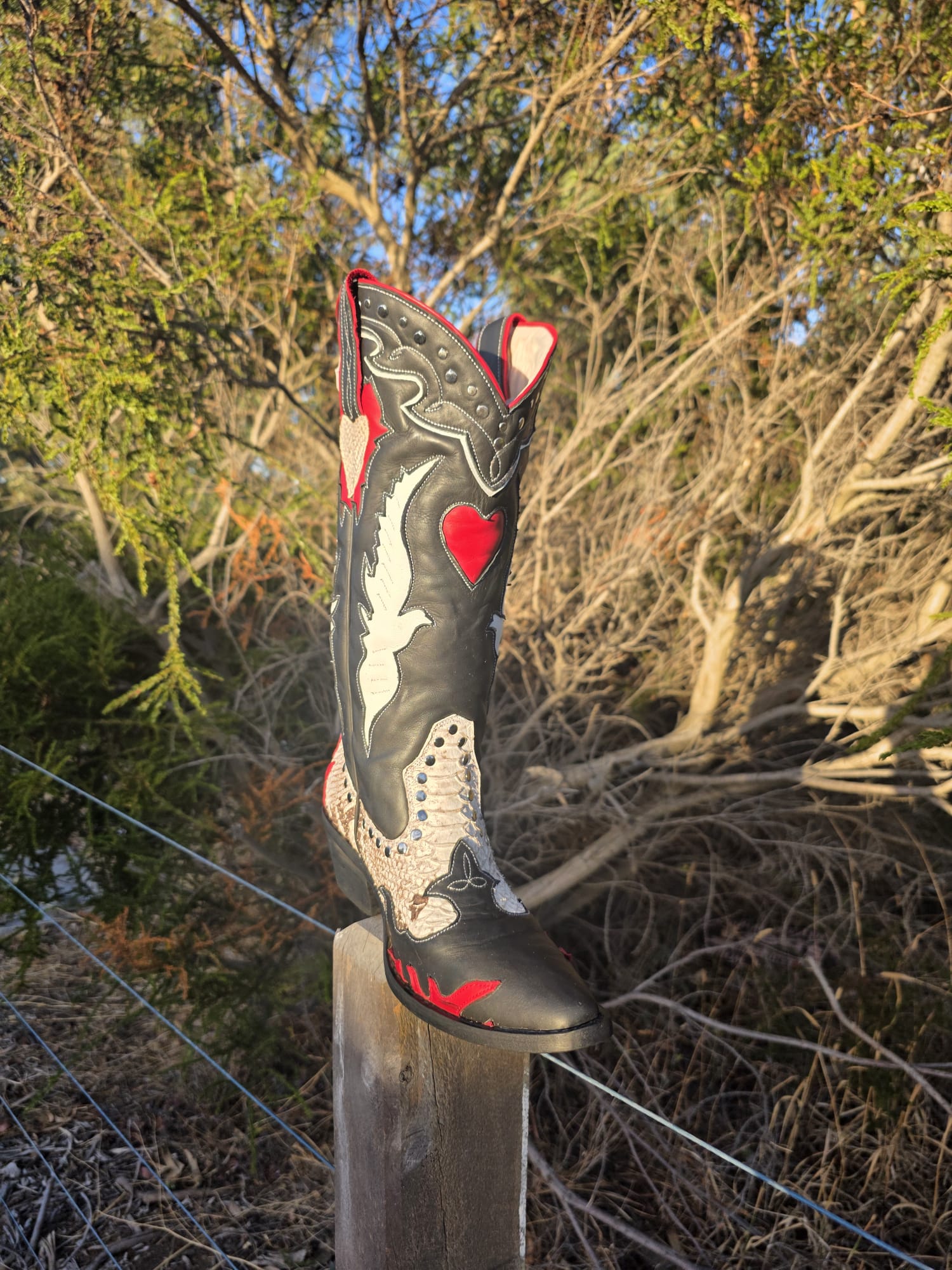 Heartbreaker II: Rattlesnake Romance
